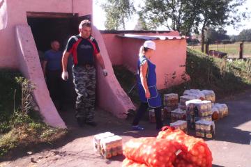 Заготовка овощей и консервации в доме ветеранов